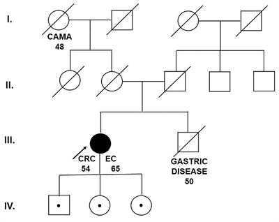 Case Report: The Role of Molecular Analysis of the MUTYH Gene in Asymptomatic Individuals